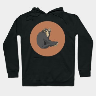 Chimpanzee Hoodie